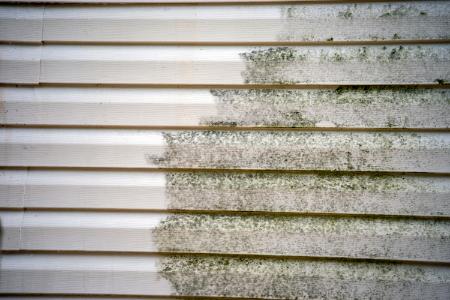 Is Your Home's Exterior Hiding Under a Layer of Grime?