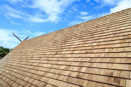 The Silent Threat: How Moss and Algae Damage Your Roof